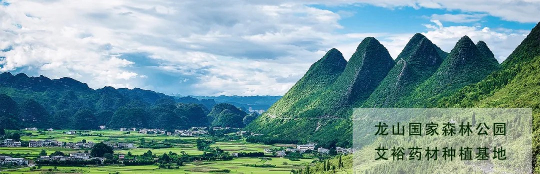 悠久文化底蘊 鋪就品牌背景 悠久文化底蘊 鋪就品牌背景