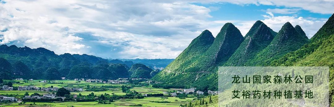 優選品牌 值得信賴 優選品牌 值得信賴