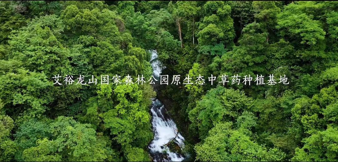 “裕我同行”丨選對產品,助攻保護力UP! “裕我同行”丨選對產品,助攻保護力UP!