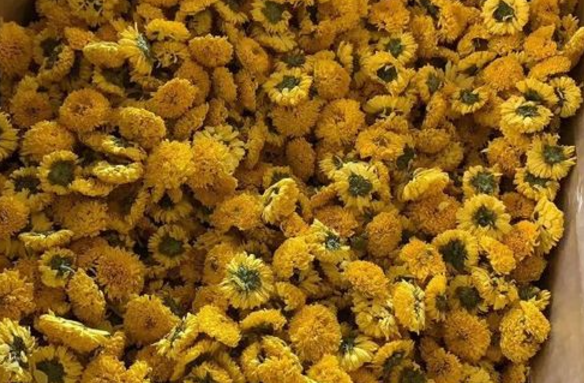 QQ20241125-091153.png QQ20241125-091153.png