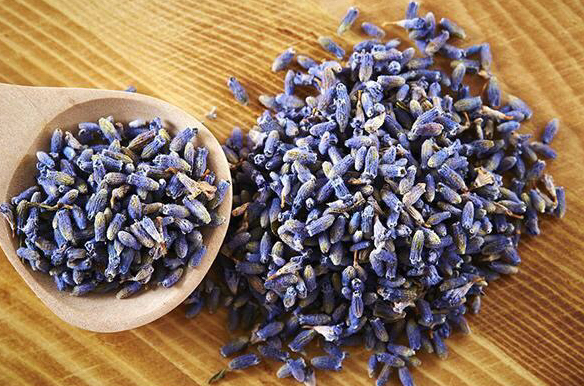 QQ20241106-110144.png QQ20241106-110144.png