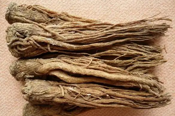 QQ20241122-130736.png QQ20241122-130736.png