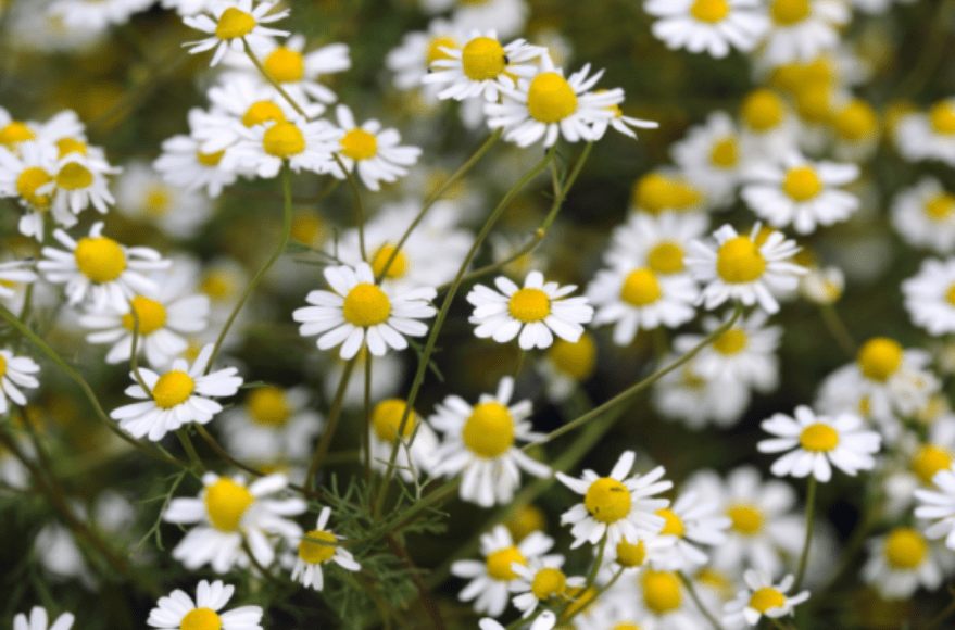 QQ截圖20240211163833.png QQ截圖20240211163833.png