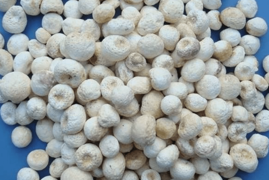 QQ截圖20240214091143.png QQ截圖20240214091143.png