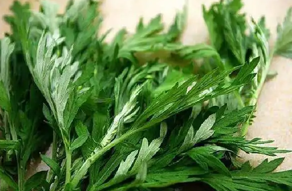 QQ20250222-133606.png QQ20250222-133606.png