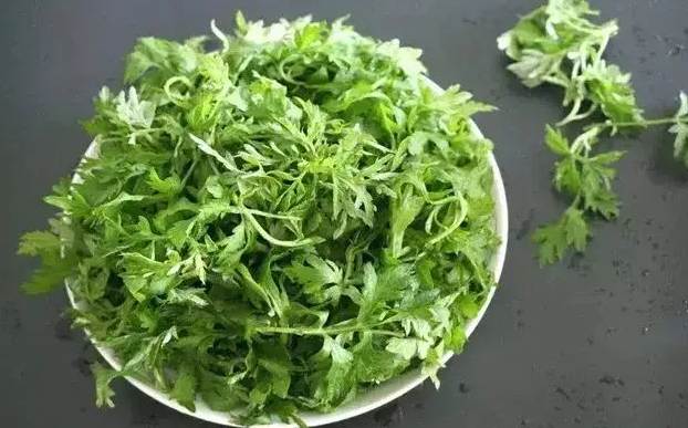 QQ20250222-133428.png QQ20250222-133428.png